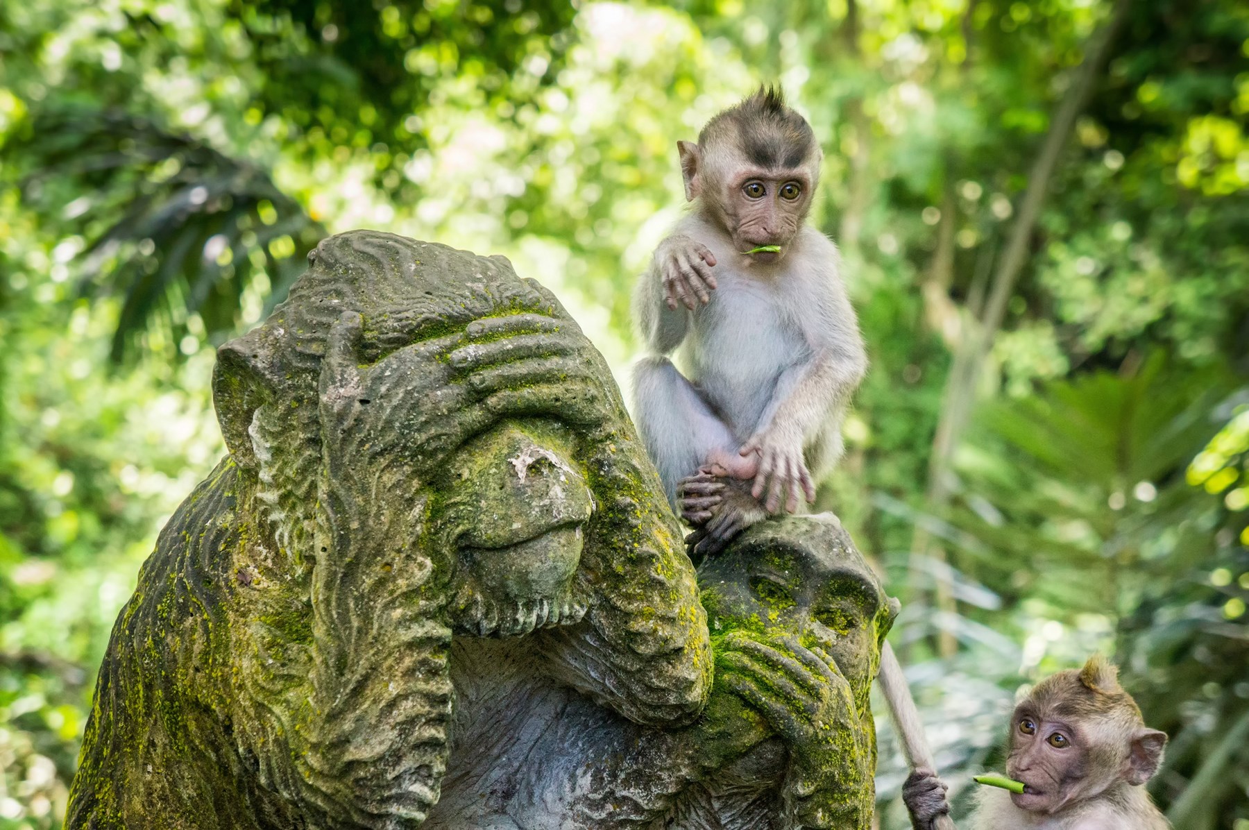 Groepsreis Indonesië, Bali