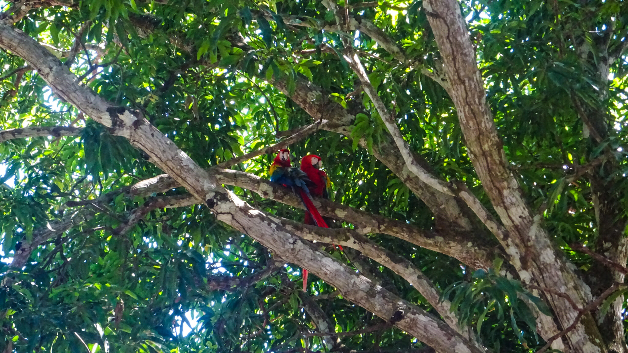 Costa Rica