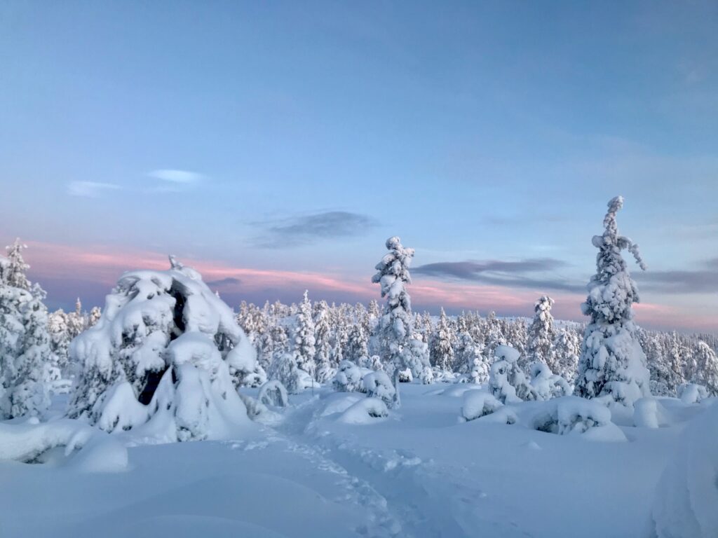 Finland - Op de lappen bij de Sami
