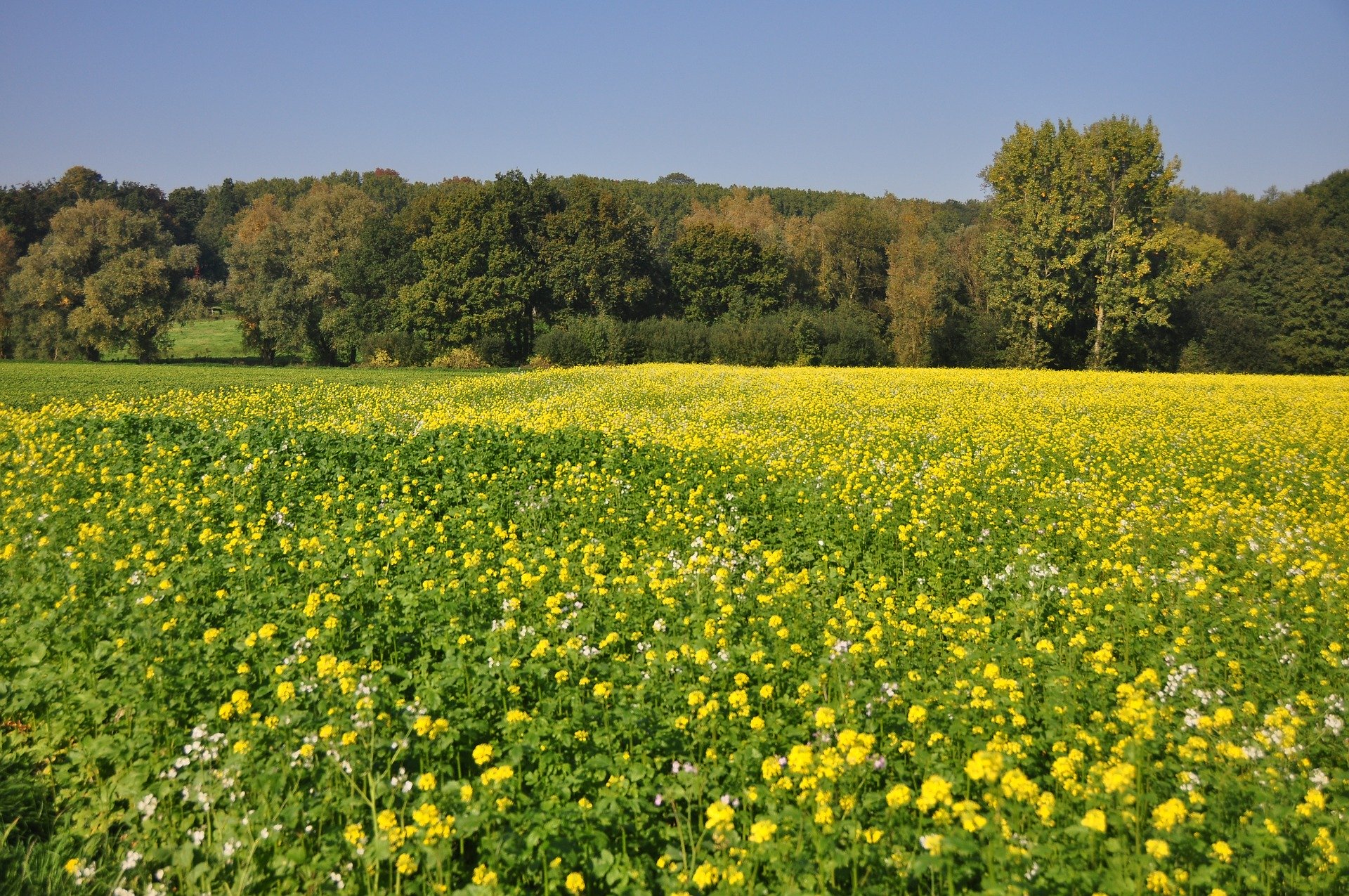 Verrassend Vlaanderen