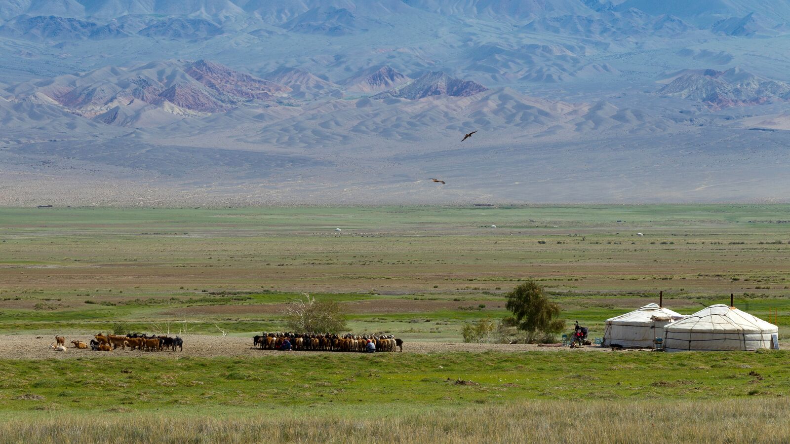 Mongolie groepsreis bunkhouse 19