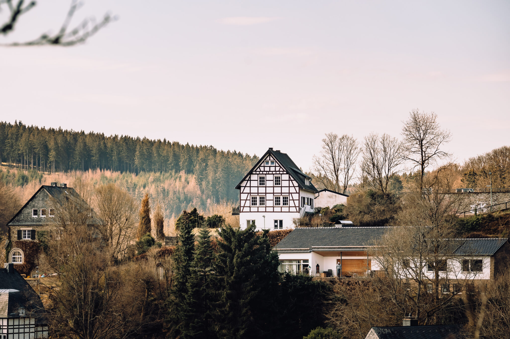 duitsland zwarte woud