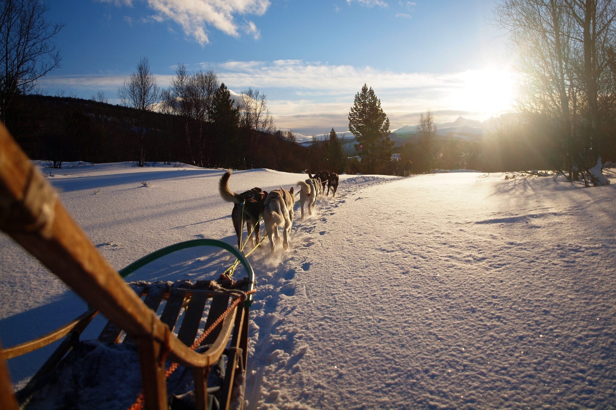 Noorwegen lapland wintersafari 18