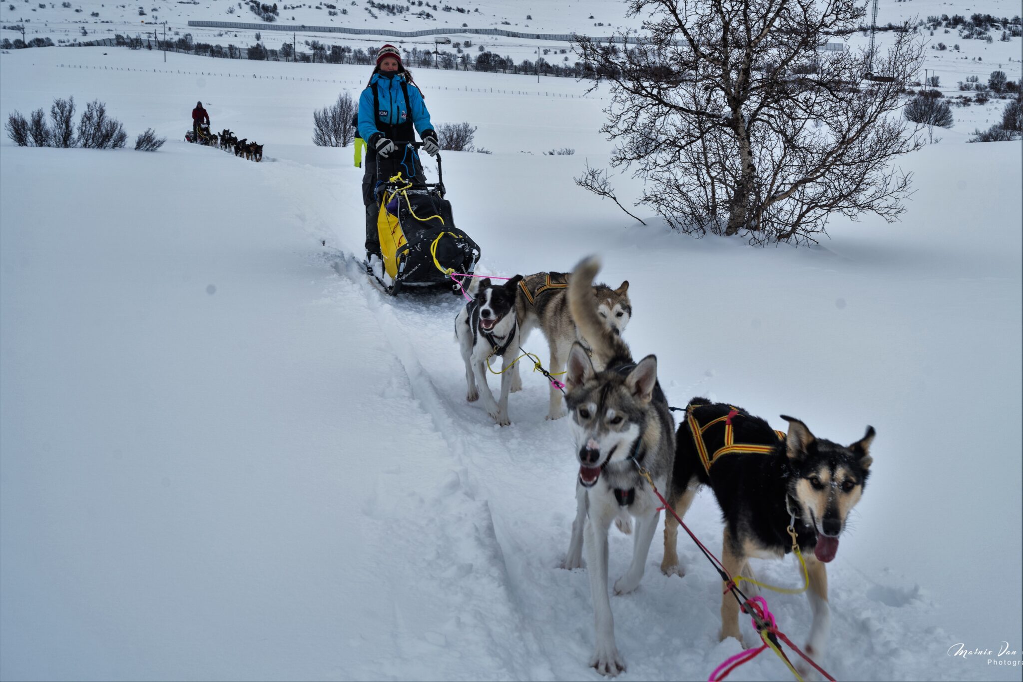 Noorwegen lapland wintersafari 19