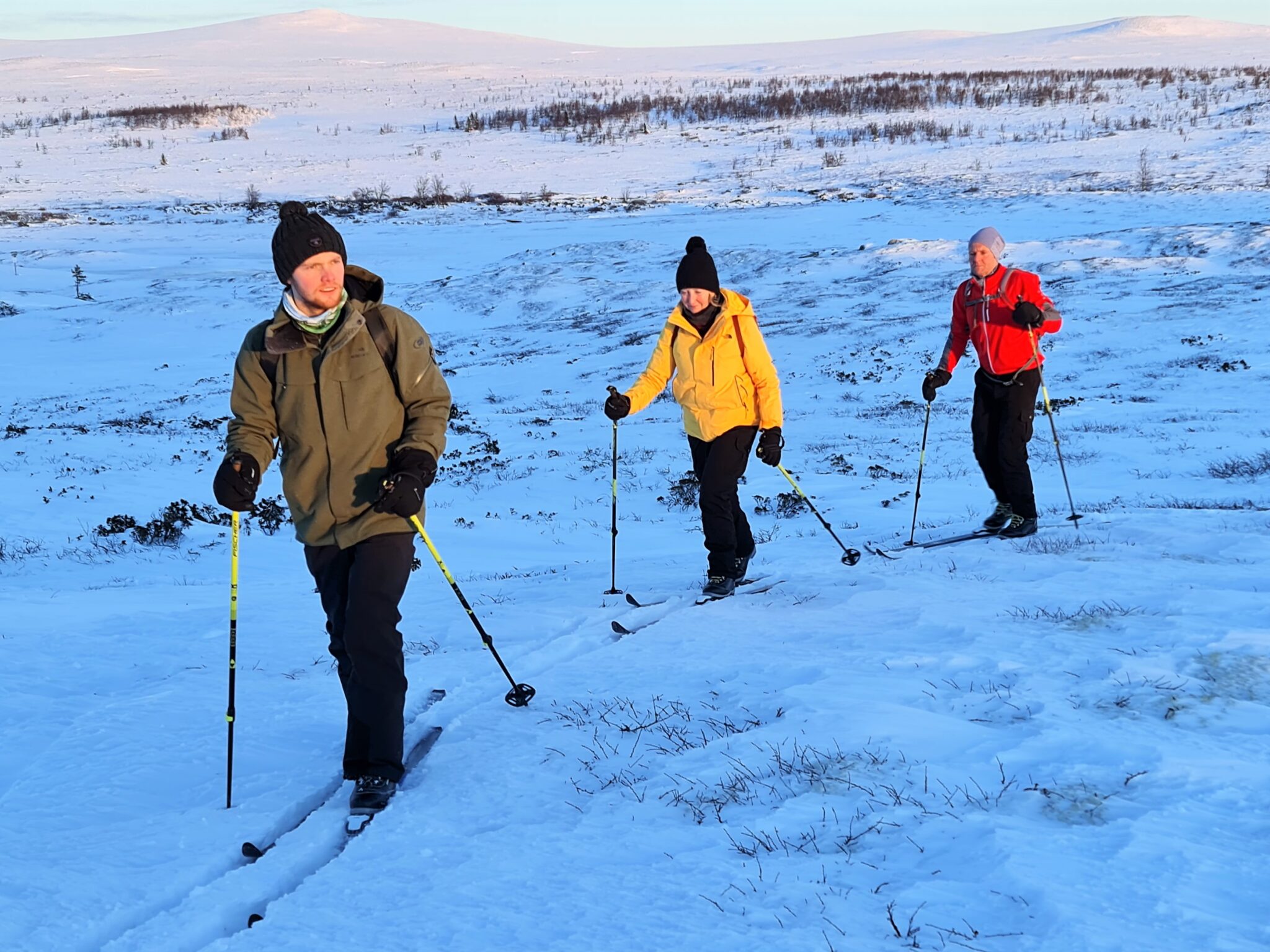 Noorwegen lapland wintersafari 5