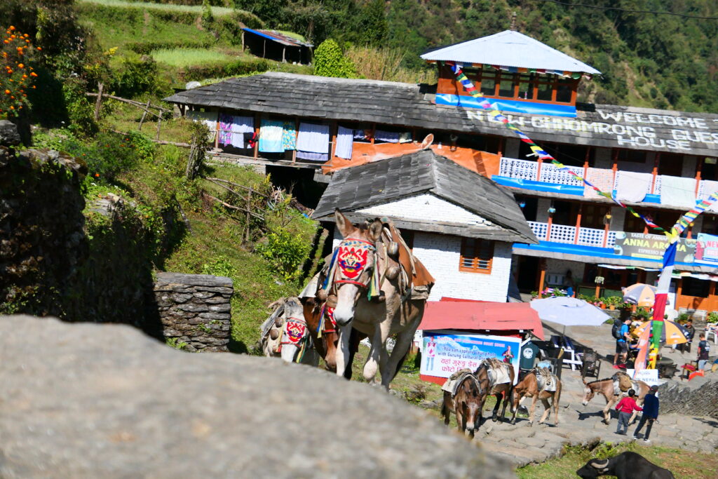 Groepsreis Nepal Annapurna Base Camp