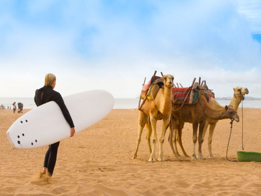 Groepsreis Marokko surf