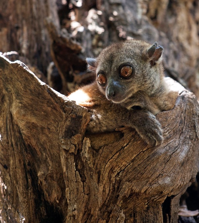 Groepsreis Madagaskar