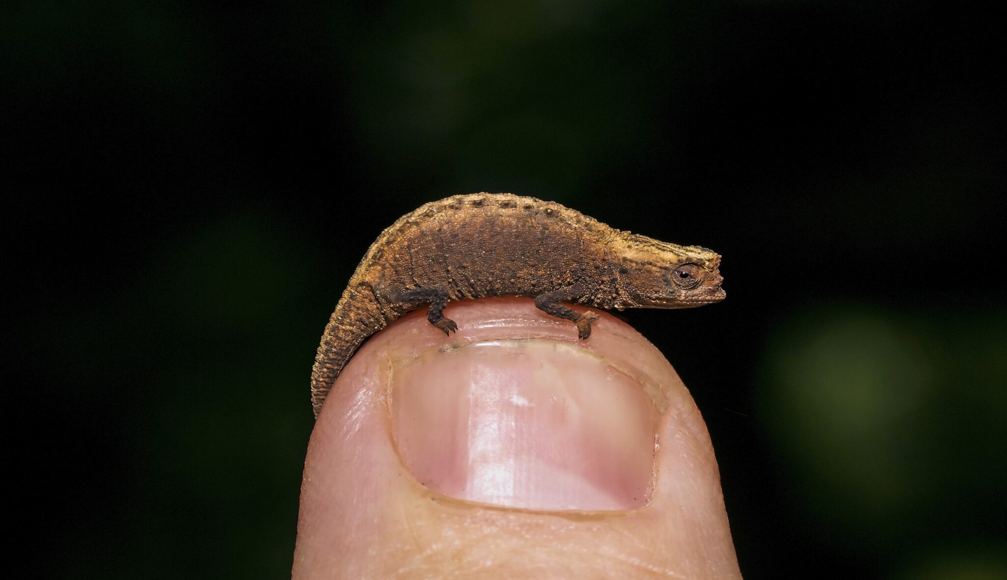 Groepsreis Madagaskar