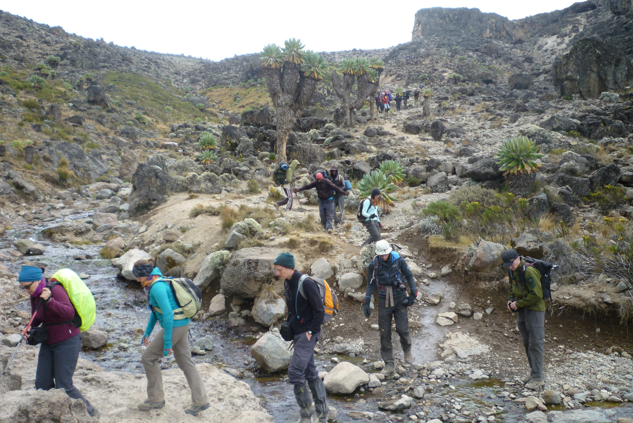 Kilimanjaro Lemosho groepsreis Tanzania trekking porters avontuur gebergte groep