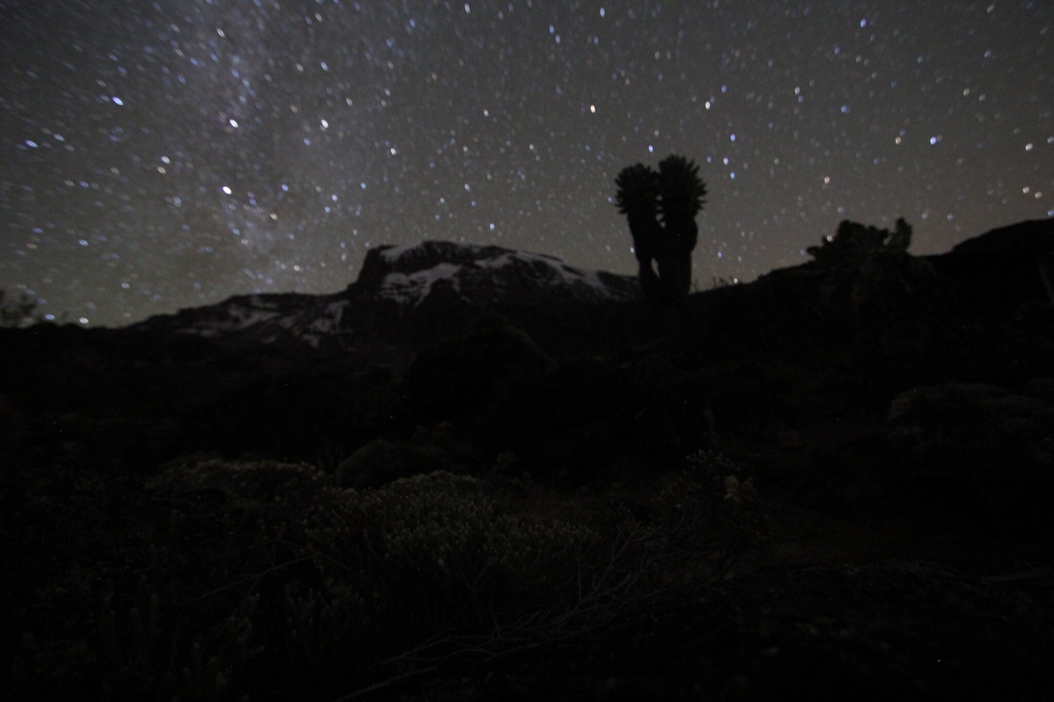 Kilimanjaro Lemosho Tanzania groepsreis gebergte sterrenhemel