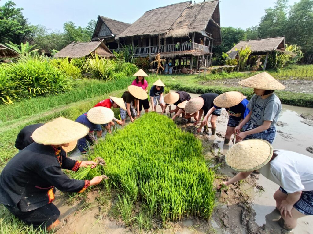 Luang Prabang rijstworkshop groep