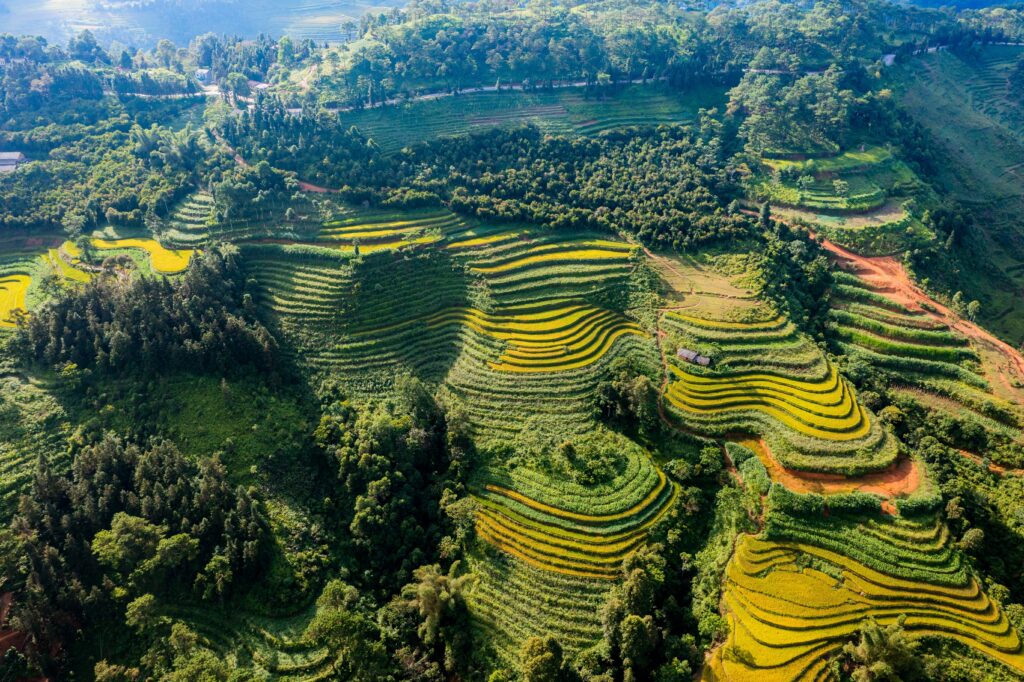 velden in noord vietnam