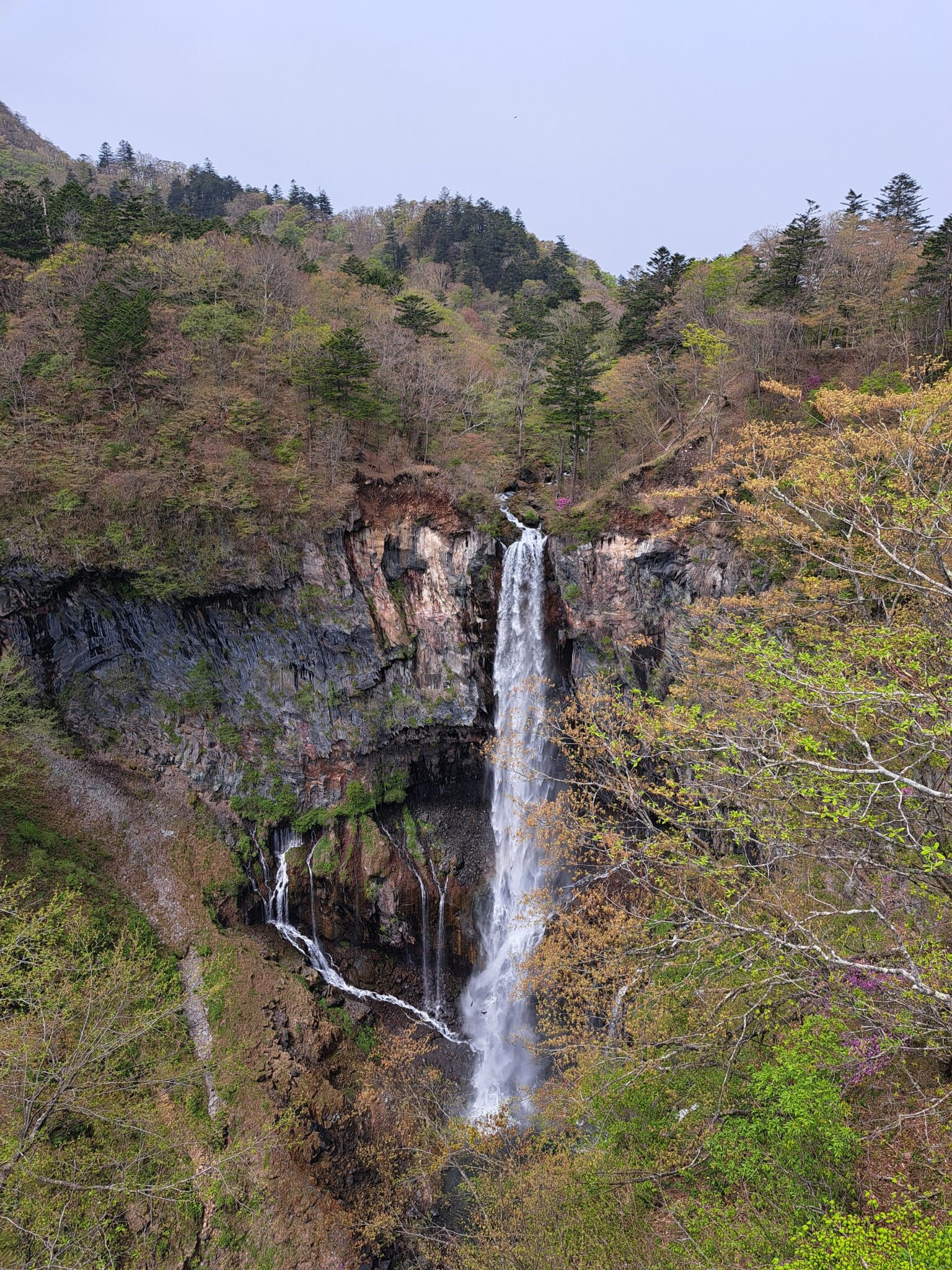 Japan Bunkhouse