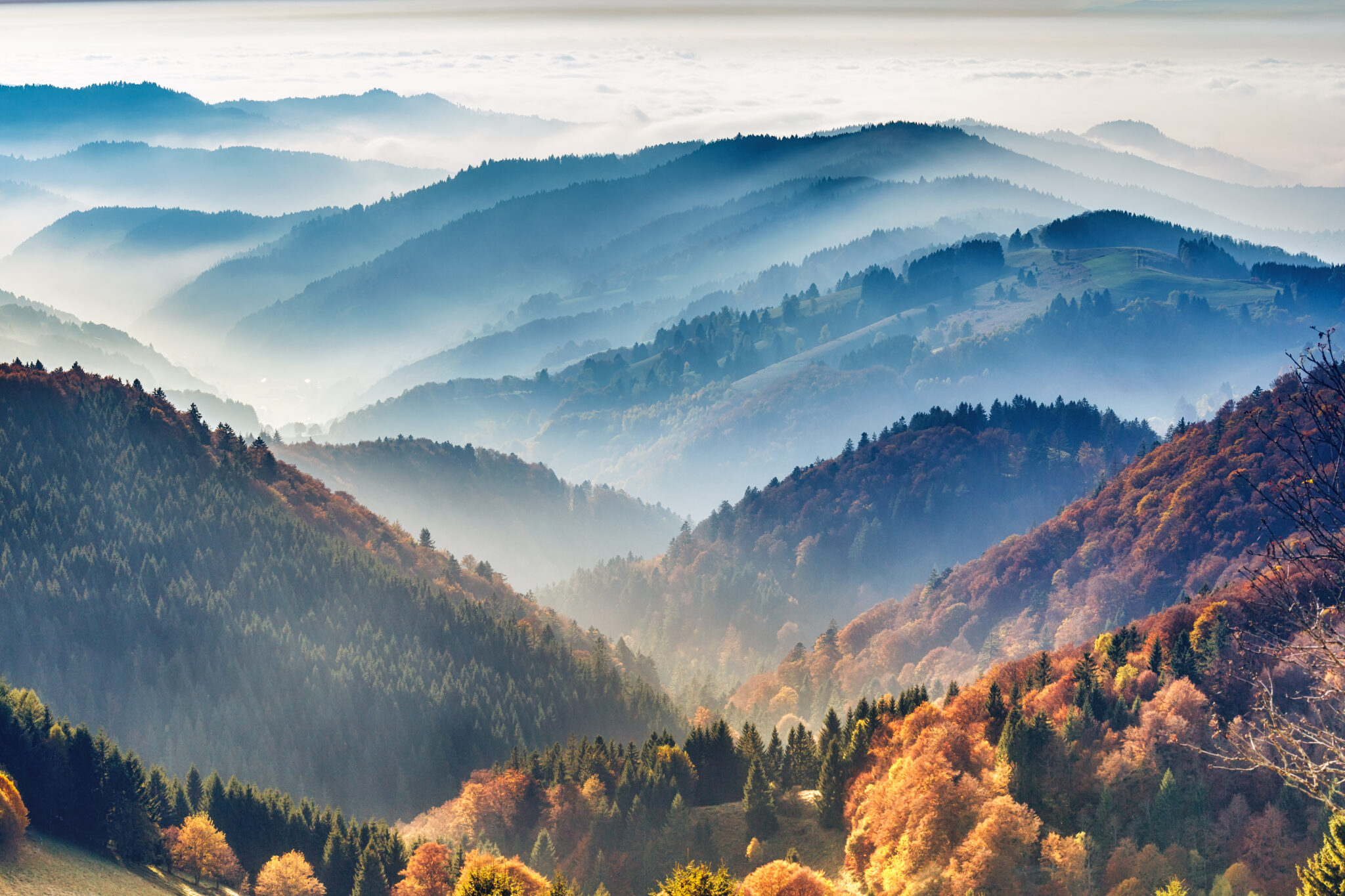 panorama op het nevelige Schwarzwald