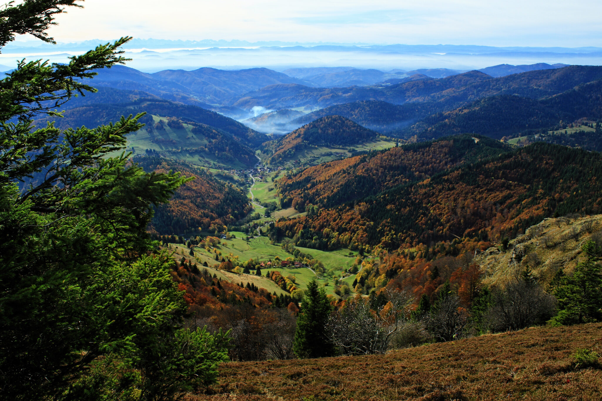 zicht op het feeërieke Zwarte Woud