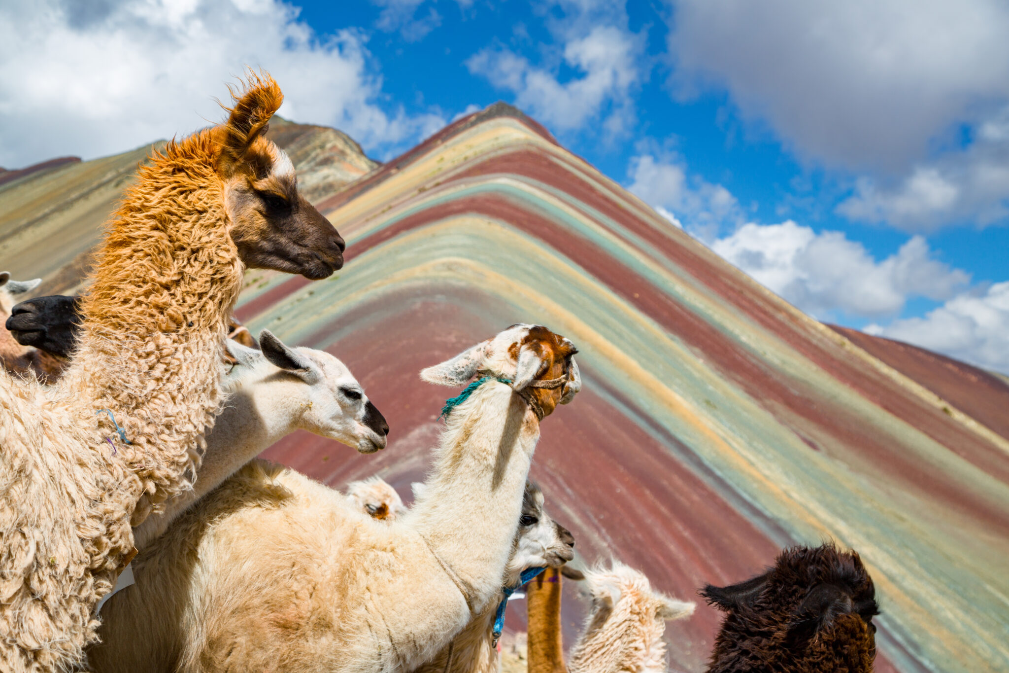 Peru avontuur